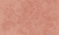 Decorazza STUCCO VENEZIANO / Цвет #SV  10-59